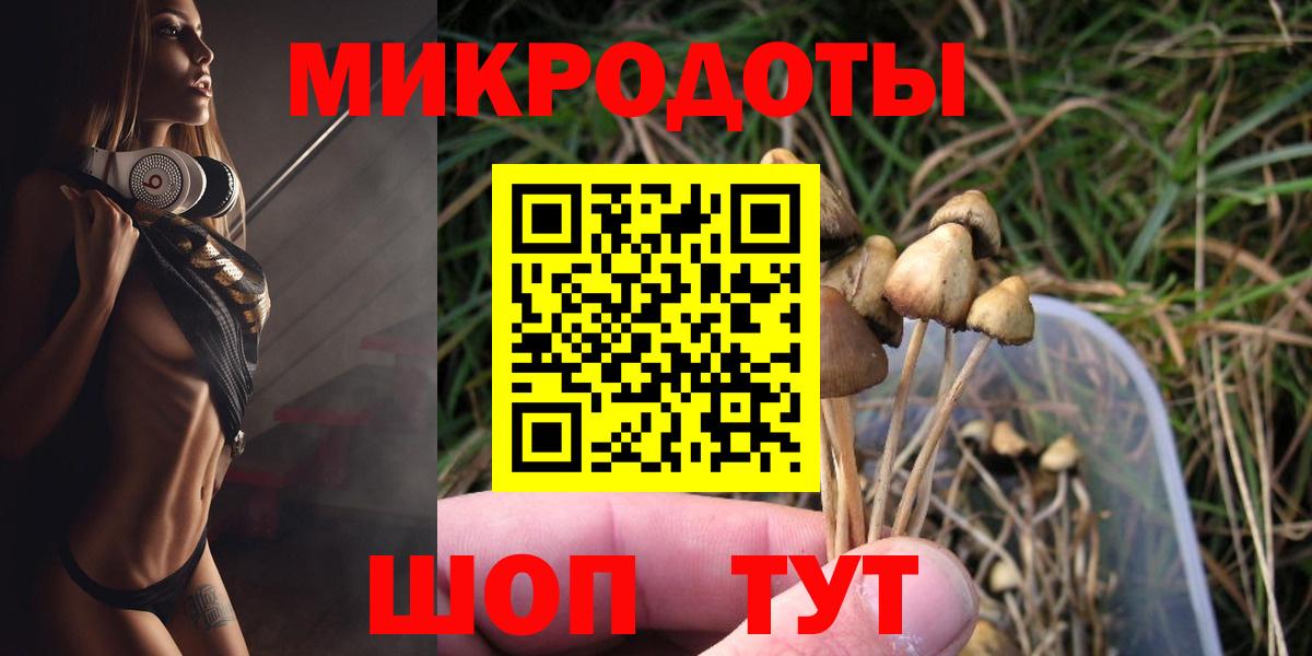 Псилоцибиновые грибы Cubensis Саратов