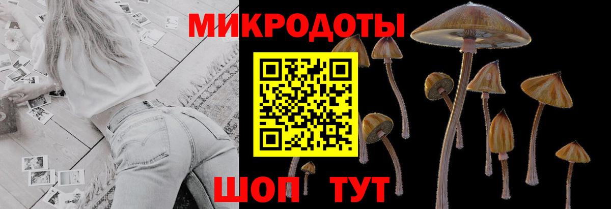 Галлюциногенные грибы Psilocybine cubensis  Галлюциногенные грибы MAGIC MUSHROOMS  Вход с VPN  Саратов 